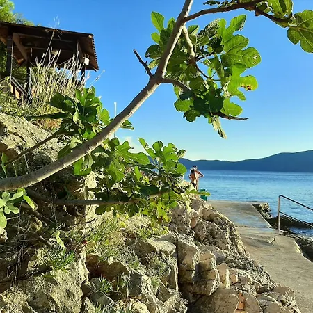 Paradiso